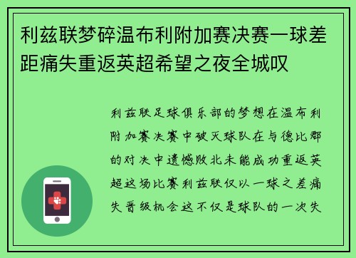 利兹联梦碎温布利附加赛决赛一球差距痛失重返英超希望之夜全城叹